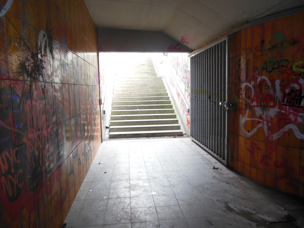 Bilder 14.1.13 012