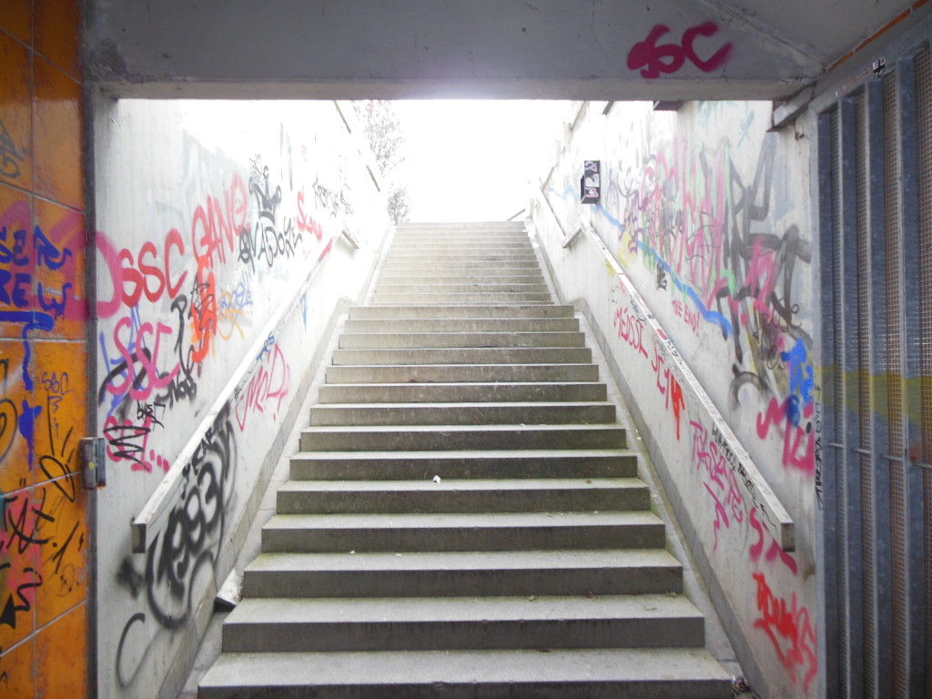 Bilder 14.1.13 014