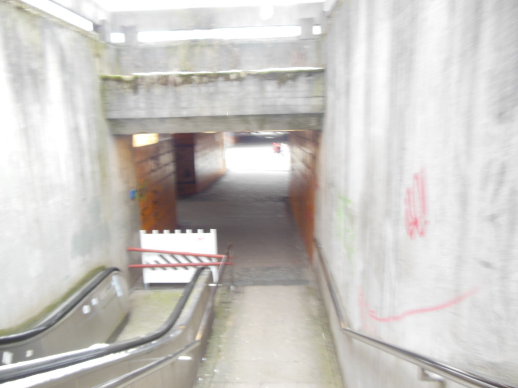 Bilder 14.1.13 016