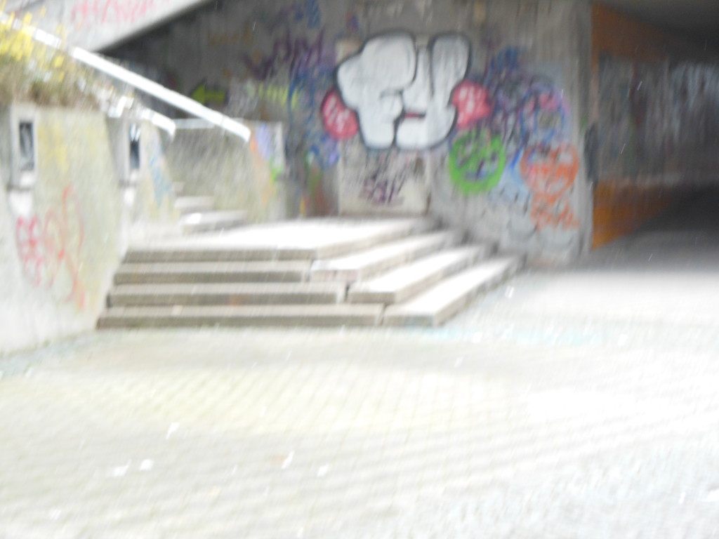 Bilder 14.1.13 020