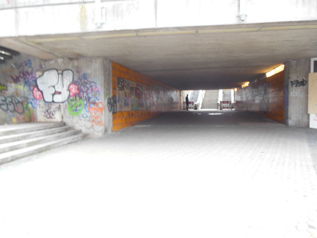 Bilder 14.1.13 022