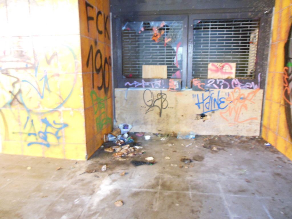 Bilder 9.1.13 012