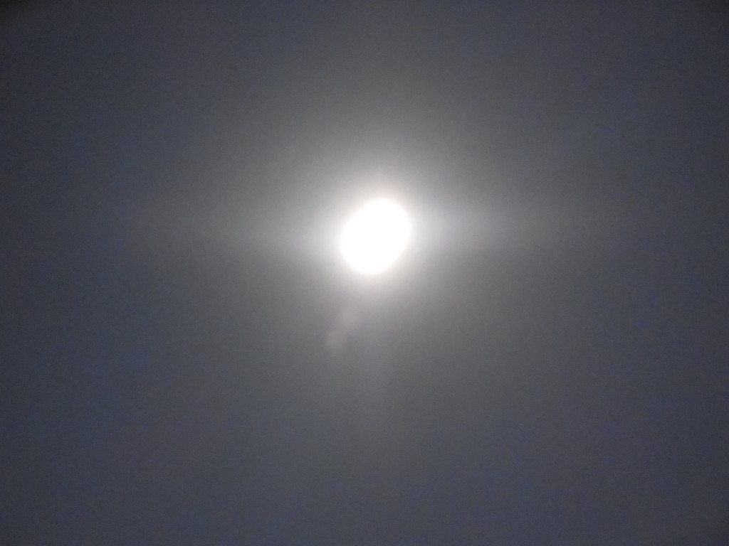 Bilder 27.3.13 002