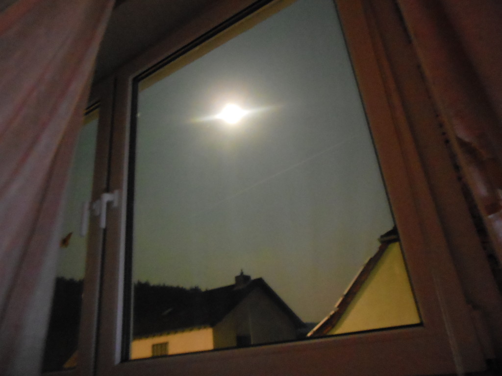 Bilder 27.3.13 003