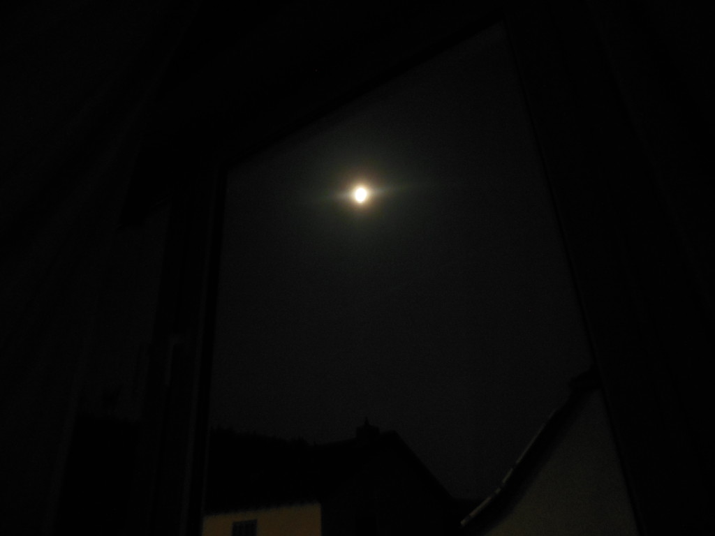 Bilder 27.3.13 004