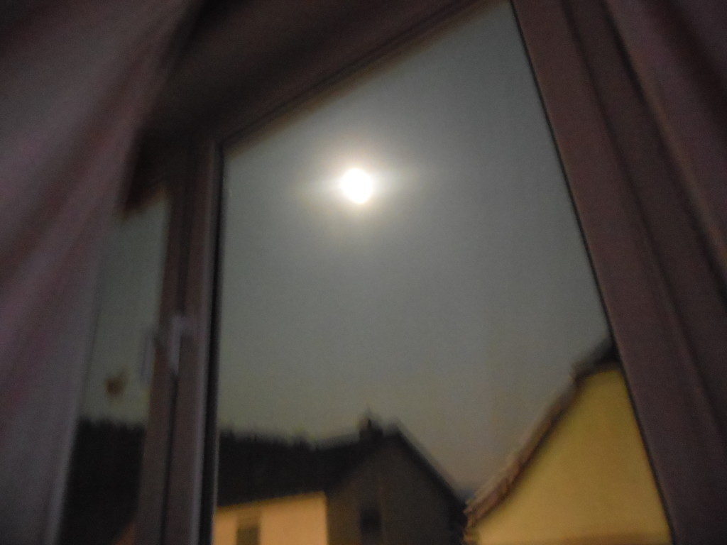 Bilder 27.3.13 005