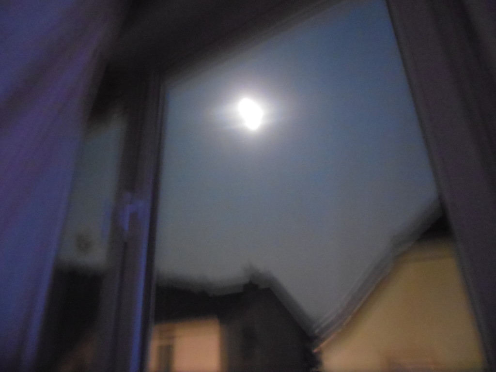 Bilder 27.3.13 006