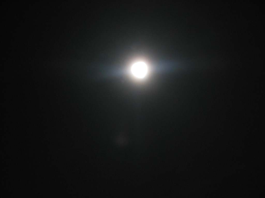 Bilder 27.3.13 007