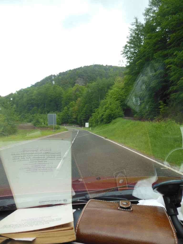 Bilder 20.5.13 2 009