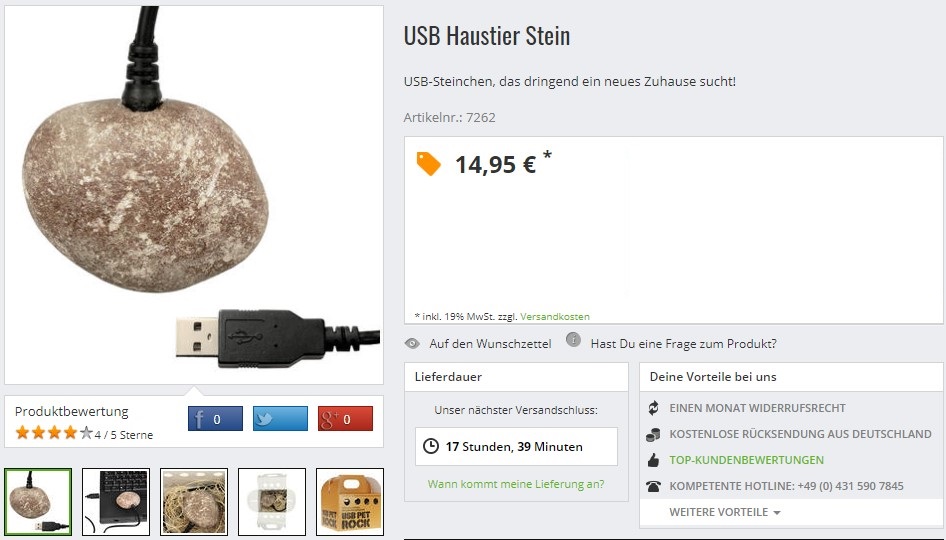 USB Haustier Stein 1
